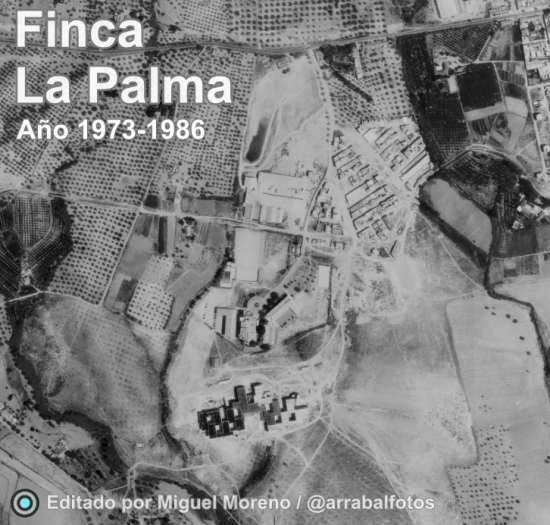Ortofoto histórica de Finca La Palma entre 1973 y 1986, con cultivos y primeras edificaciones